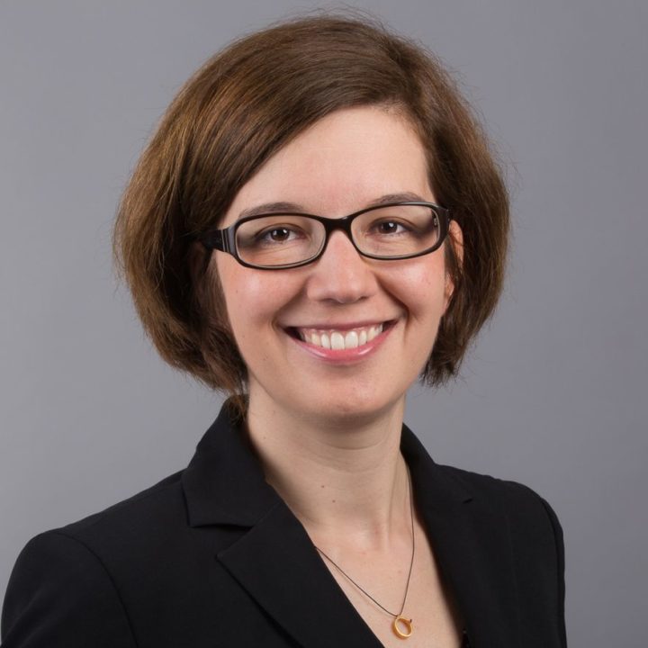 Prof. Dr. Hannah Schmid-Petri