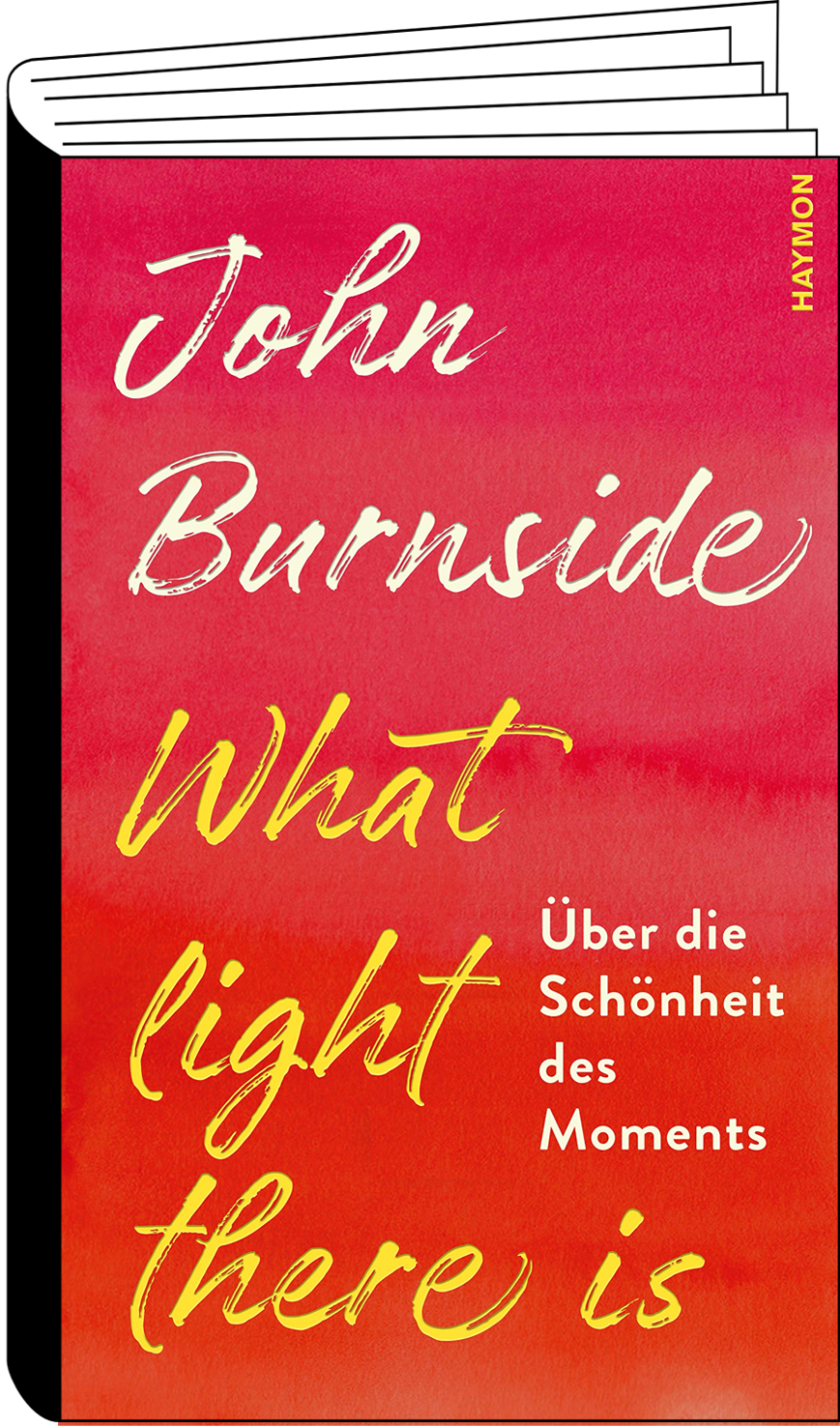Matthias Matschke empfiehlt »What light there is« von John Burnside -  Freunde der Zeit