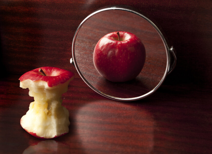 Das Bild zeigt einen abgeknabberten Apfel, der vor einem Spiegel steht und in dem Spiegel einen prallen roten Apfel sieht.